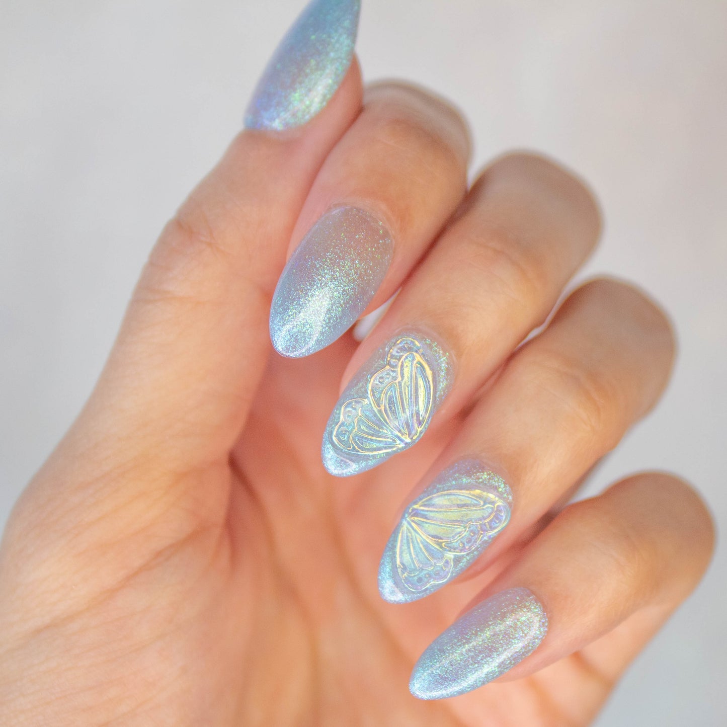 Flutter