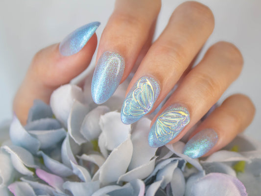 Flutter
